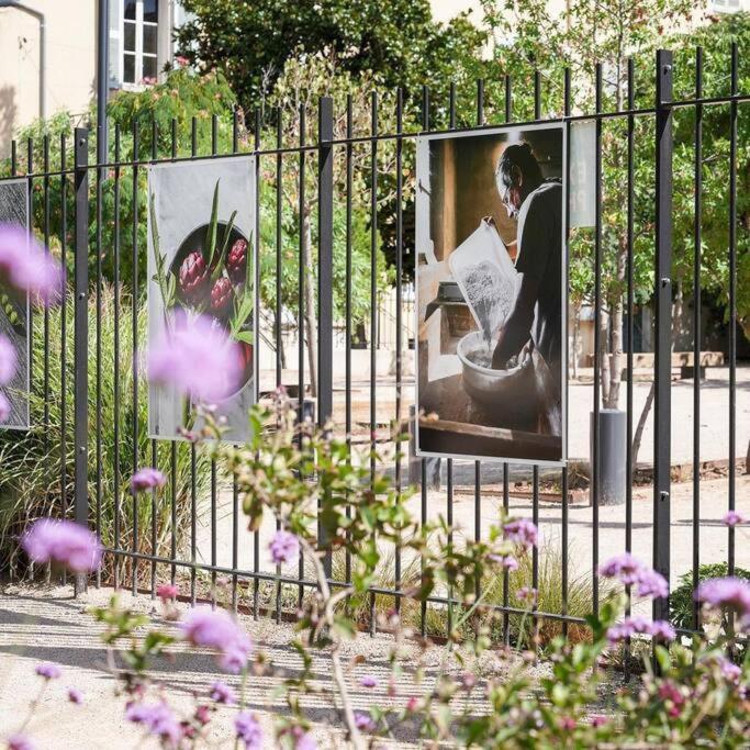 Taote - Studio Avec Terrasse Au Coeur De Ville Brignoles Eksteriør billede